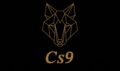 cs9.shop